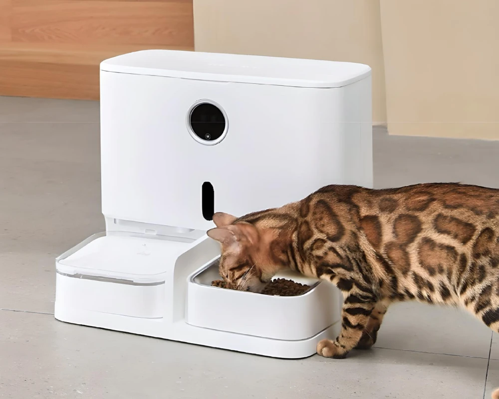 automatic pet food dispenser